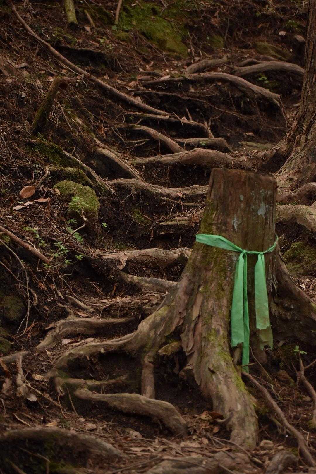 近藤真彦のバンダナを思い出す。ギンギラギンにさりげなく。