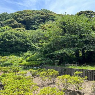 花の木公園