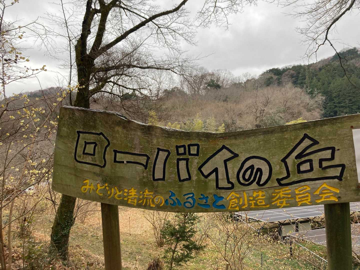 観音前バス停-長谷寺-白山-貉坂峠-順礼峠 縦走コースの写真