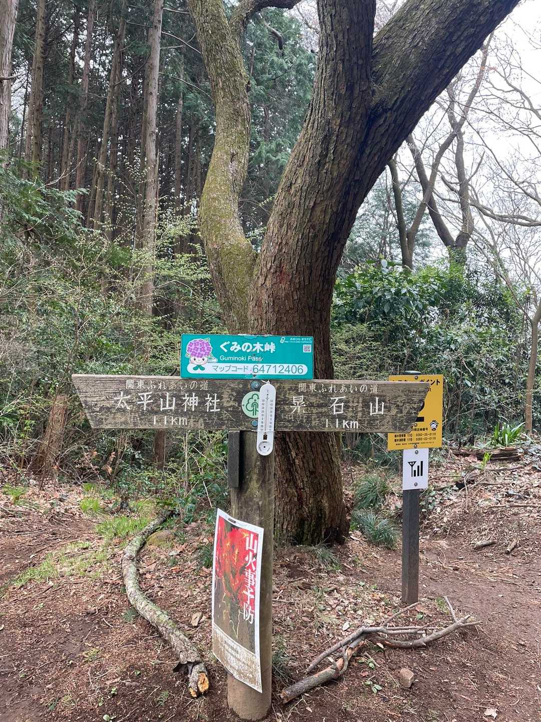 雨が降ってきてしまったので、晃石山には行かず、大中寺の方に下りてみます😄