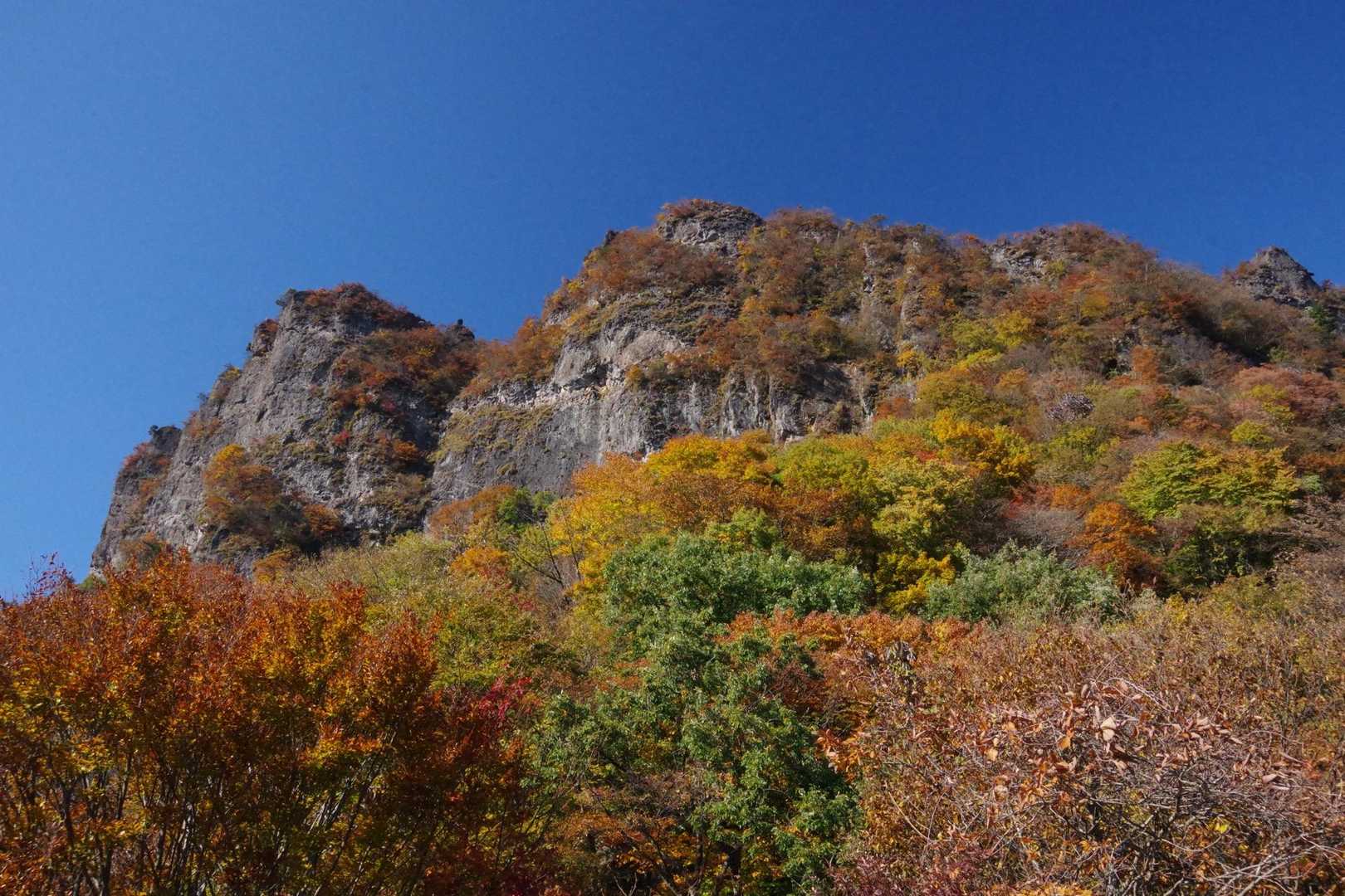 燃える金洞山