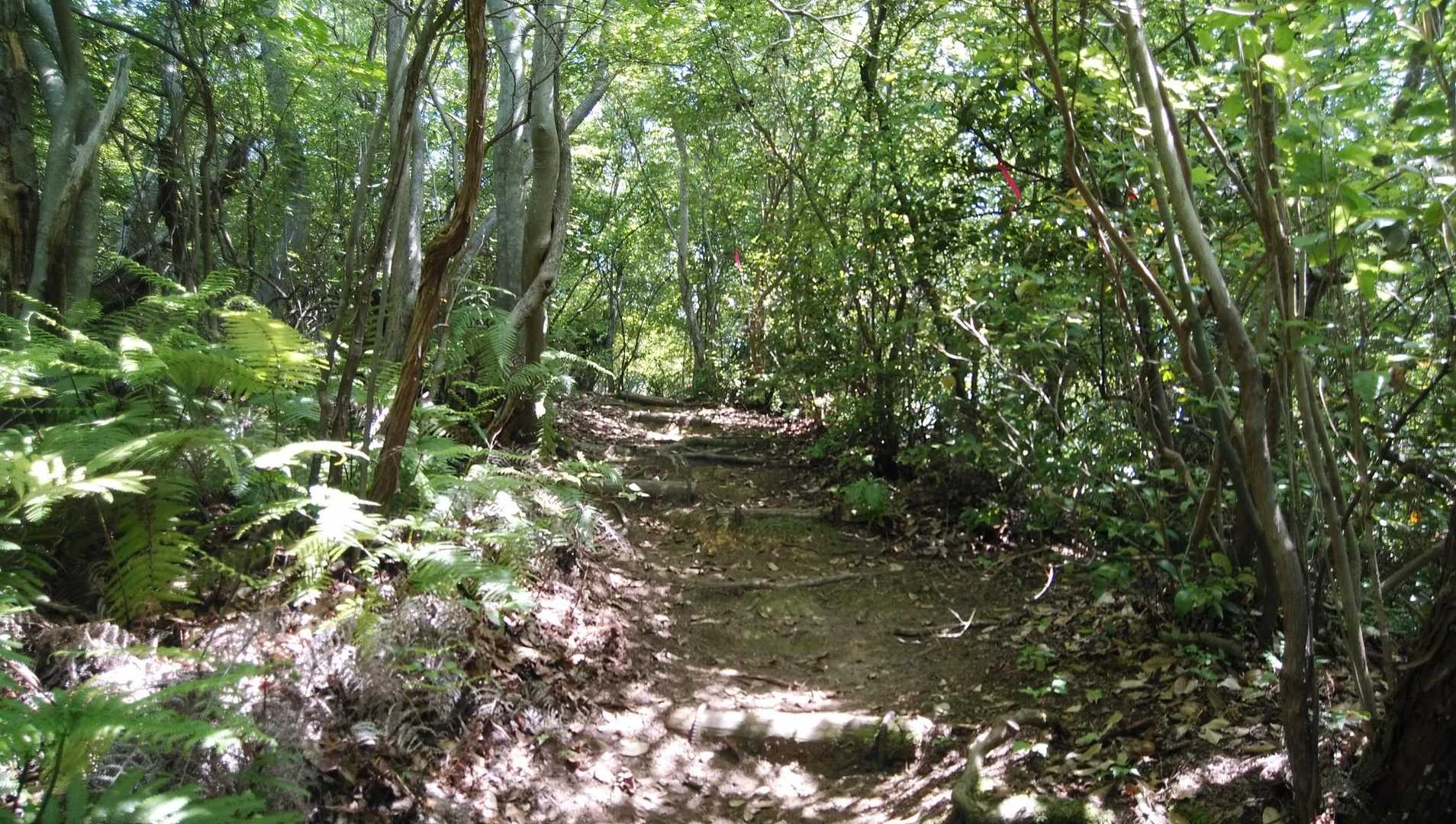 いよいよ本格登山道