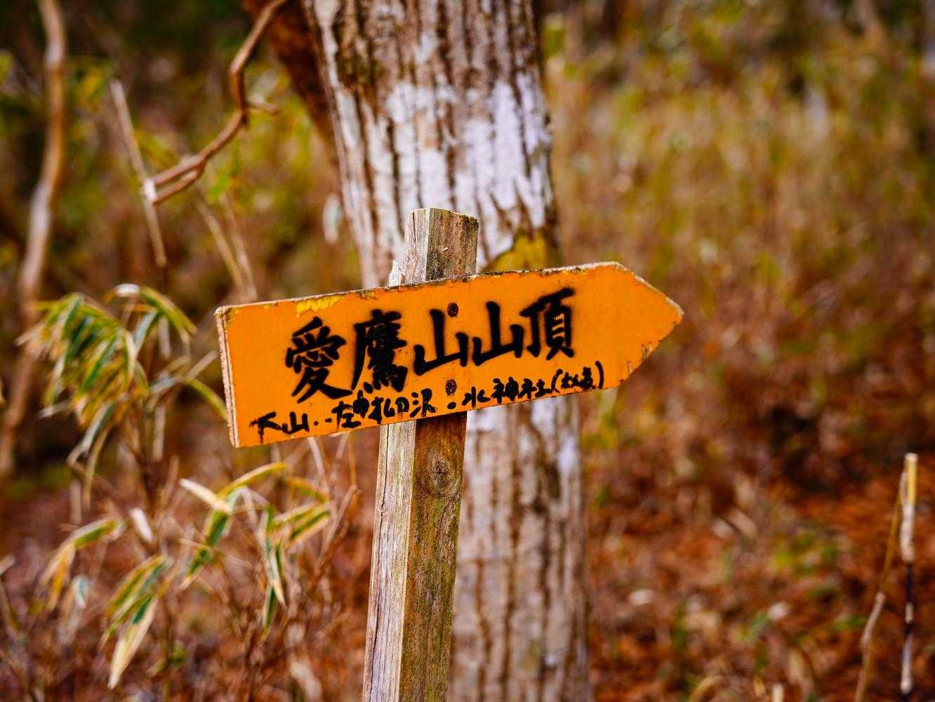 愛鷹山 往復コースの写真