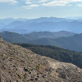 耳納連山があまり人気にならない理由は、稜線に沿ってずっとアスファルト道が通っており、車で行けちゃうからです🚗

今日のような日には頂上近くまでラクに行けるので便利ですが、普段ならテンションも上がりづらいのが正直なところ😞

ただ最近は、木が伐採されたおかげで見晴らしのいい場所がいくつかあり、今日も阿蘇方面や……