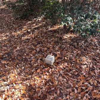 北山も三角点のみ
帝釈山以外グレーピークで良くね？