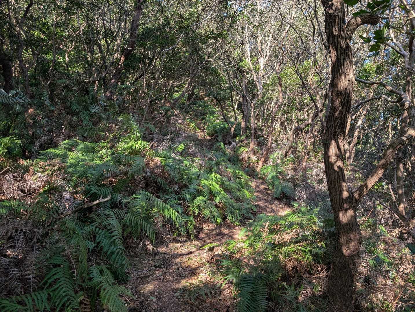 次は狼煙山へ。