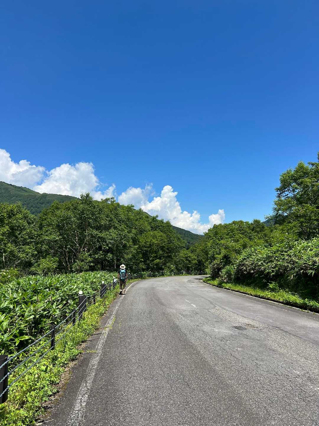 道路に降りてきて