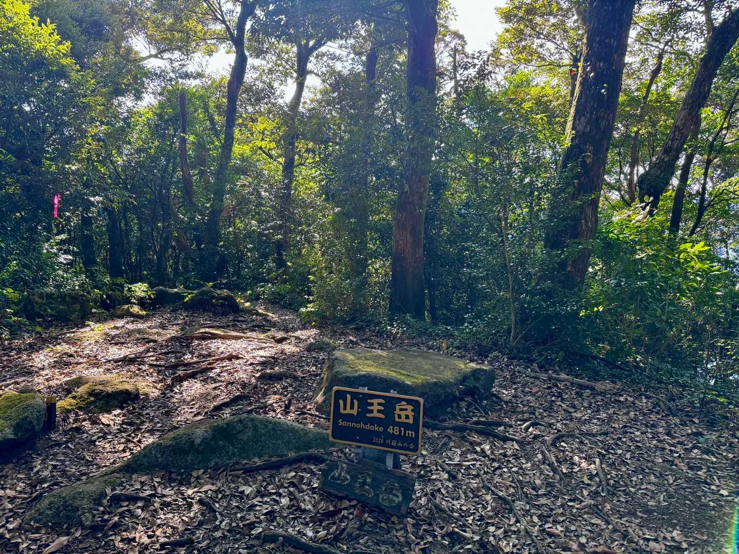 山王岳までの急登が何気にキツい！ここまでがこのコースで一番キツい所。
ここで登山されてるご年配の方と少し会話。
「おぅ、頑張ってるね！何周目ね？」
「1周目です(1周しか走らんけど…)」
「じゃあ、あと2周走らんといかんね、ハッハッハッ(笑)」
「(鬼かっ！)いやいや、あと3周走りますよ」
と強気の冗談で自分を奮い立たせてみる。
