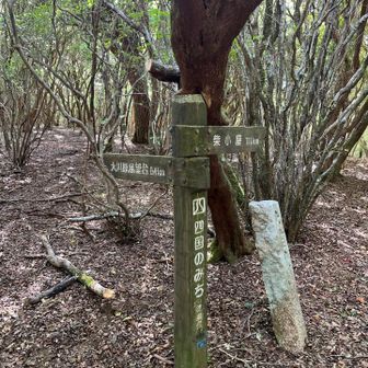 柴小屋方面に移動。