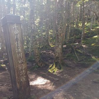 源流到着。ここから先は一気に標高を稼ぎます。