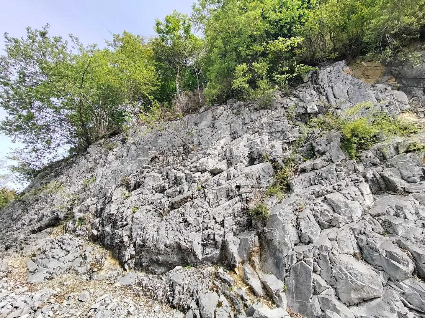 迫力のある石灰岩の斜面🫡