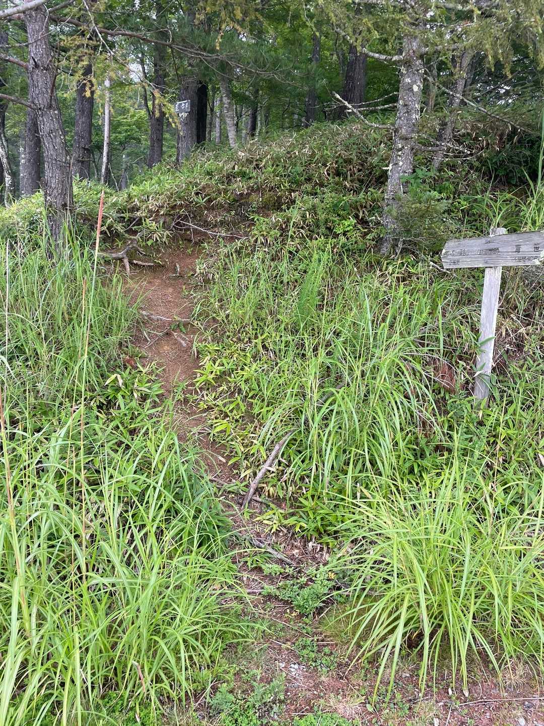 登山口