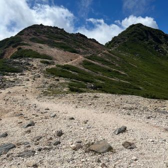 下りよっと♪
ここから根石岳への登り返しの景色も好き。