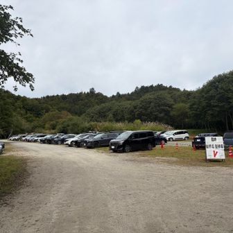 臨時駐車場🅿️

たくさんおられますね！