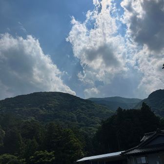 下からの今日の藤原岳⛰️