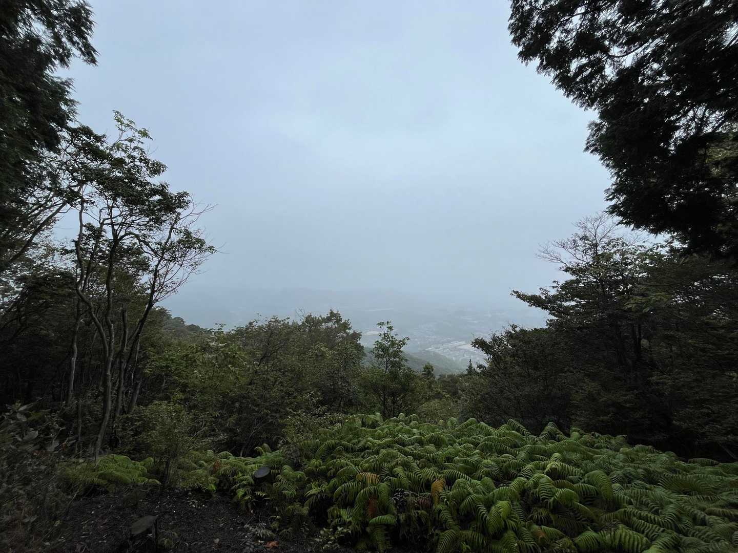 雨足が…