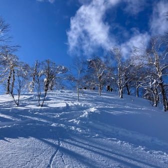 タケノコ山・社満射岳 / ブンブンの登山データ | YAMAP / ヤマップ