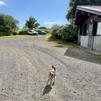 戻って来ました　隣は林野庁の車　誰とも会わず　食事中に2台の車がが上がって来た