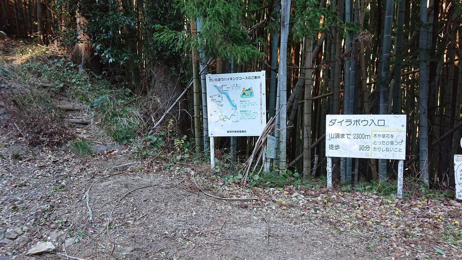 ただいまです‼️