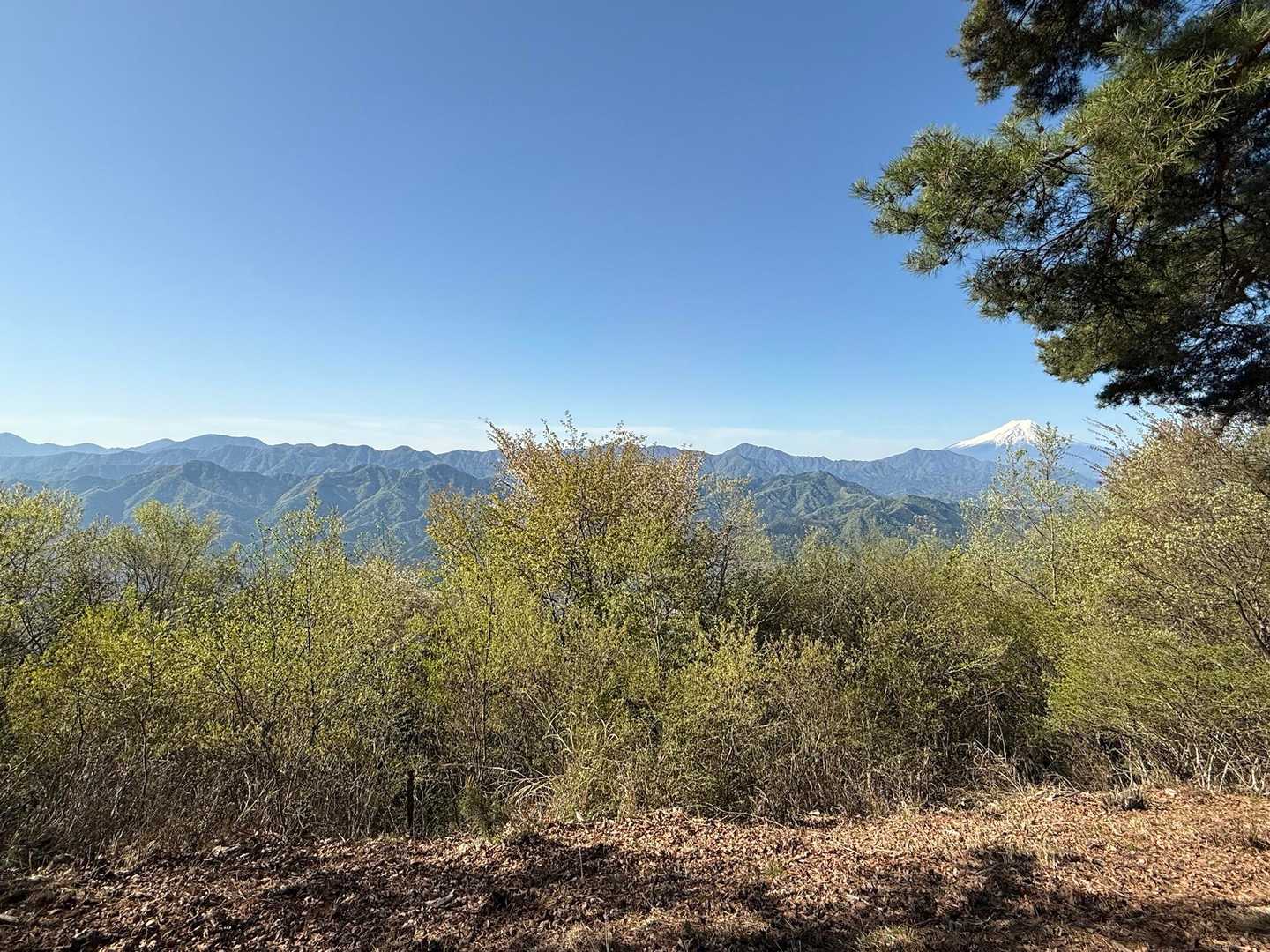 山々がよく見える