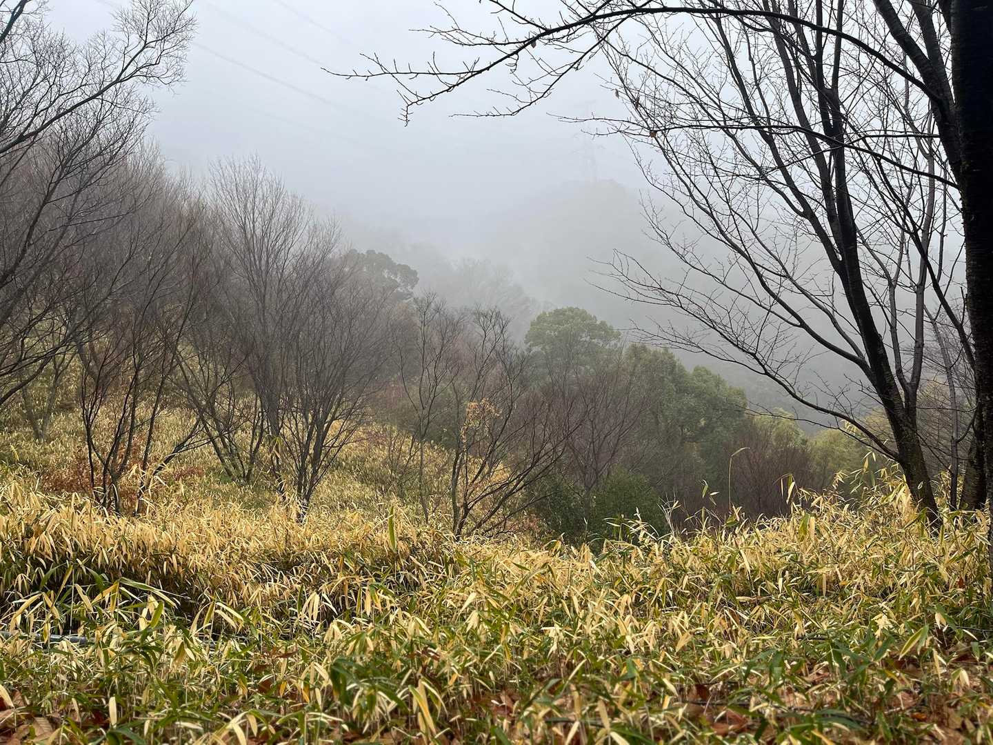 景観ゼロ
🌂しまったり、カッパ着たり、蒸し蒸しで脱いだり、暑くてどんどん脱皮😆