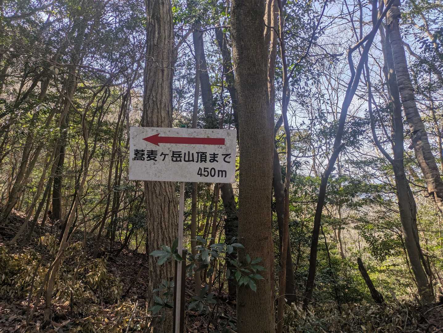 蕎麦ヶ岳←分岐→小麦ヶ岳