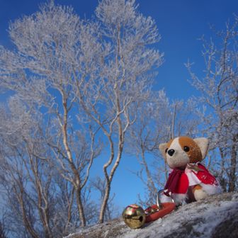 爆風でちびが飛んでってしまいそうなので、石の上に置いてパチリ
何度か転び、ちびも真っ白（笑）