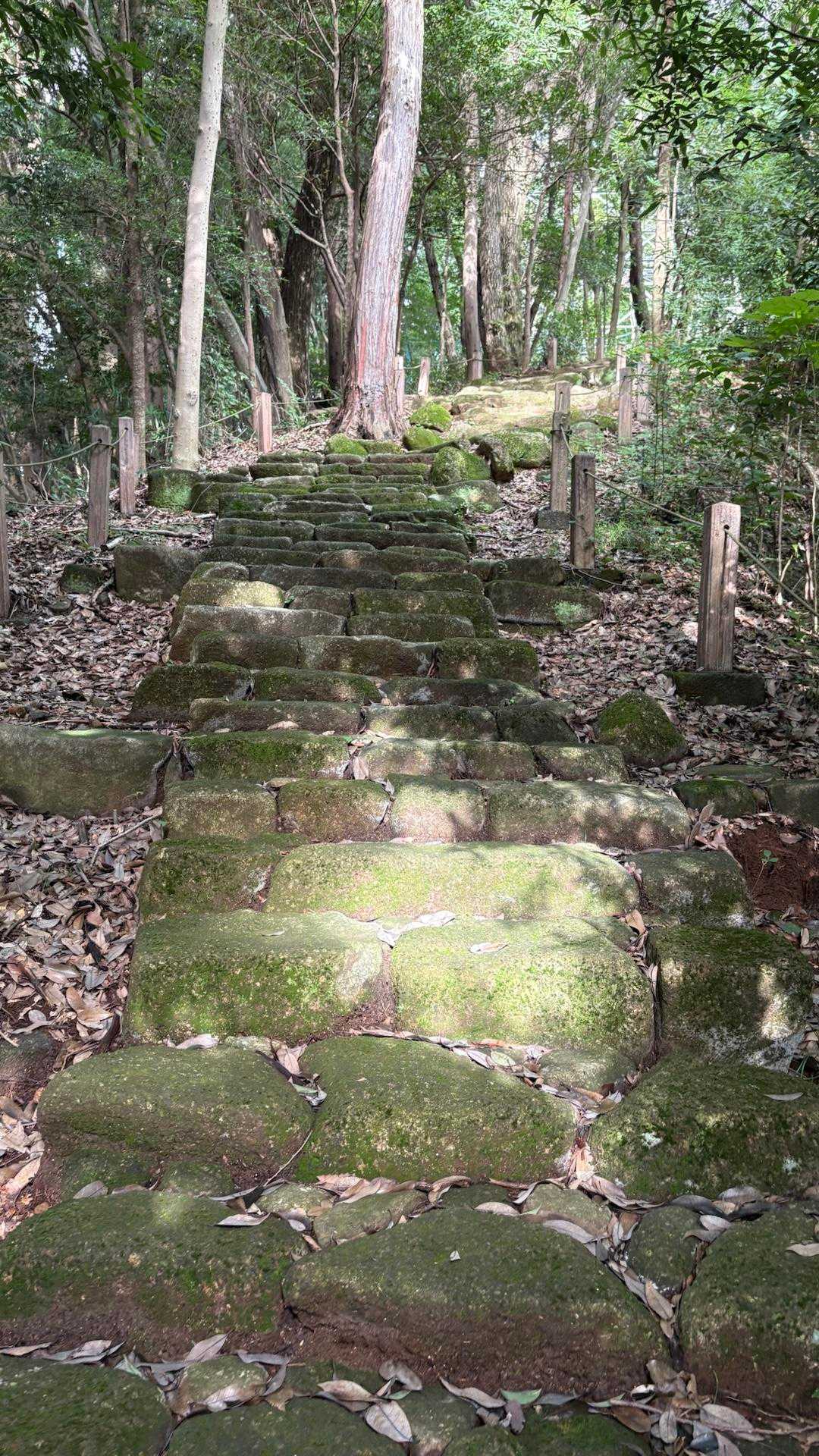 諏訪ヶ岳-古道五差路-よこやまの道 影取池伝説の碑-南大沢 縦走コースの写真