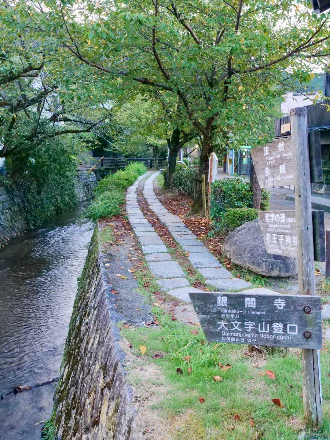 哲学の道。桜の名所🌸
