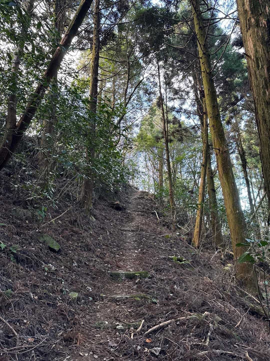 山道