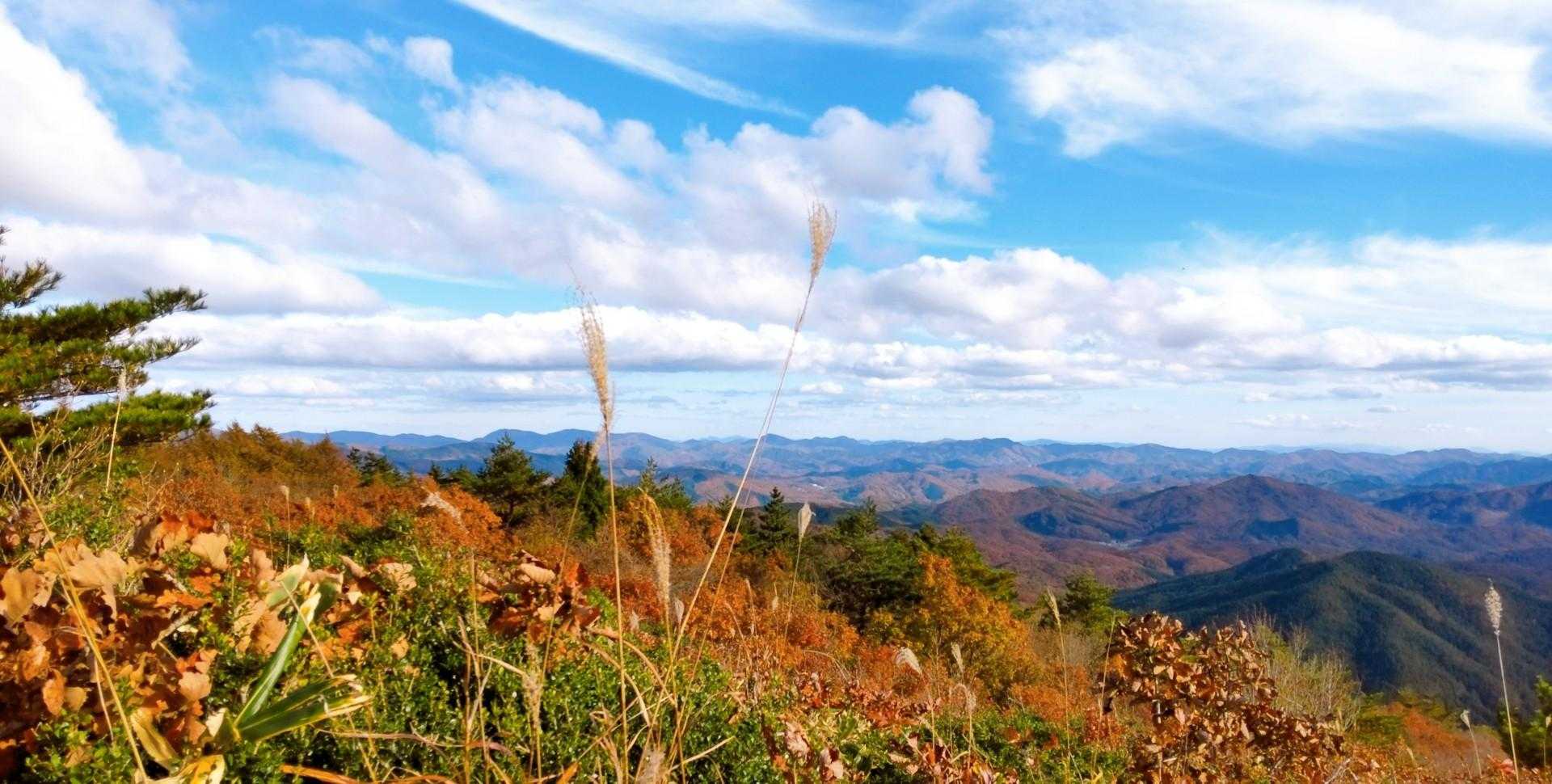 キレイだよねっ😌✨
