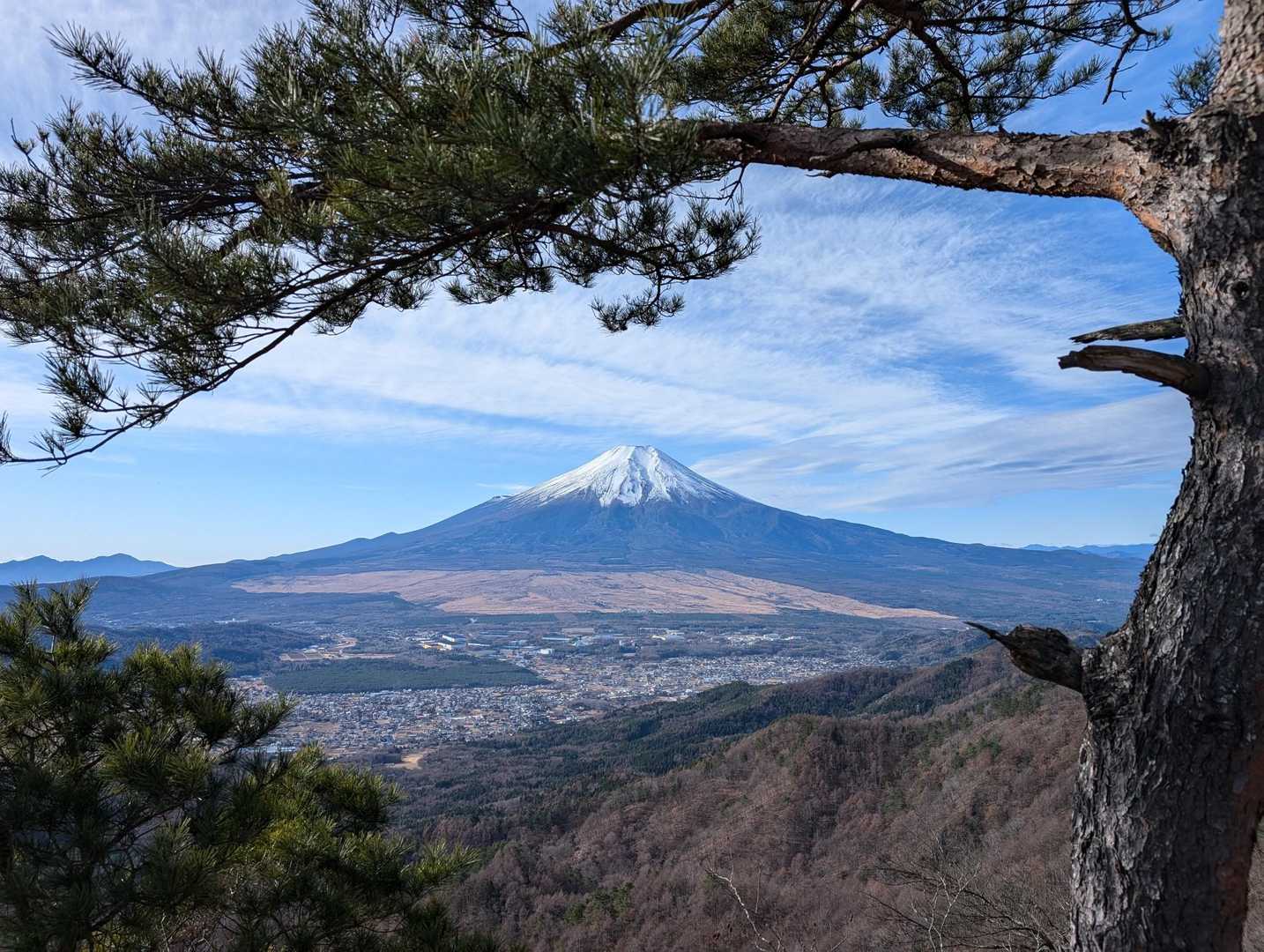 二十曲峠-砂須山-加瀬山-立ノ塚垰-鹿留山-杓子山 往復コースの写真