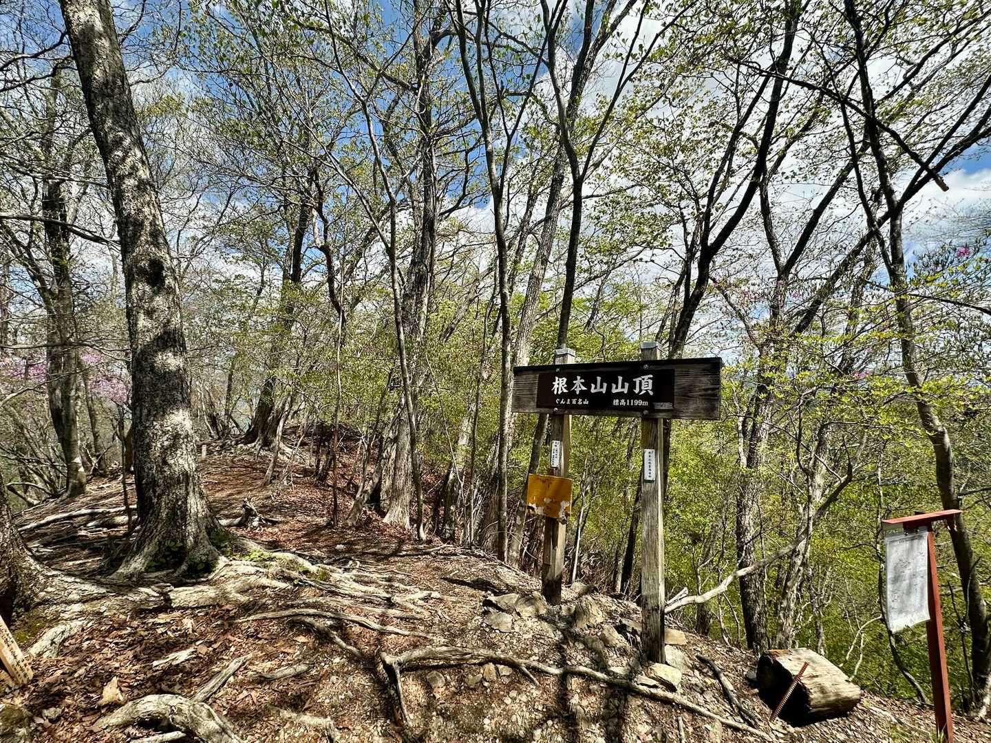 根本山山頂到着。