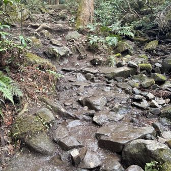 沢に見えるけど道です