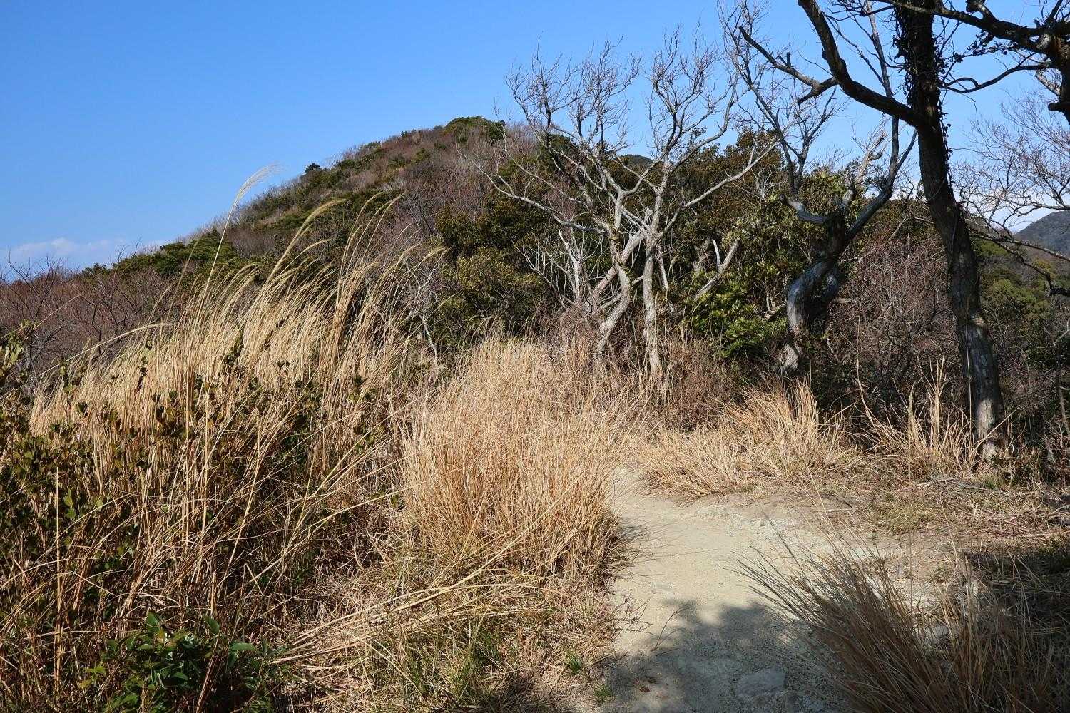 向こうにそびえる山は見なかったことにしよう。