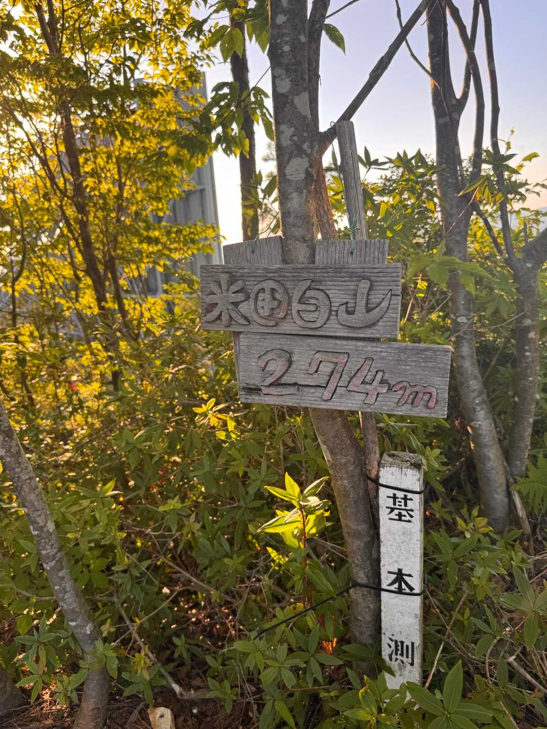米田白山 周回コースの写真