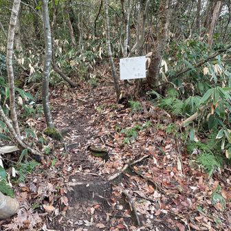 分岐超えて松賀山へ