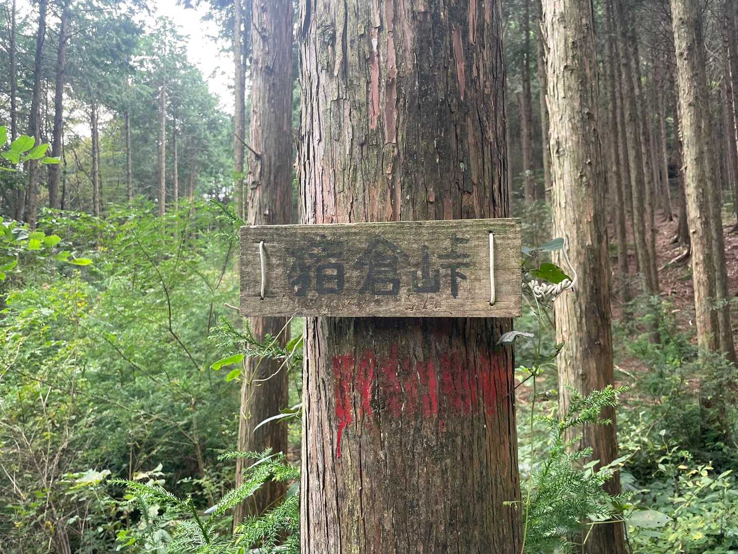 猪倉峠通過！！
