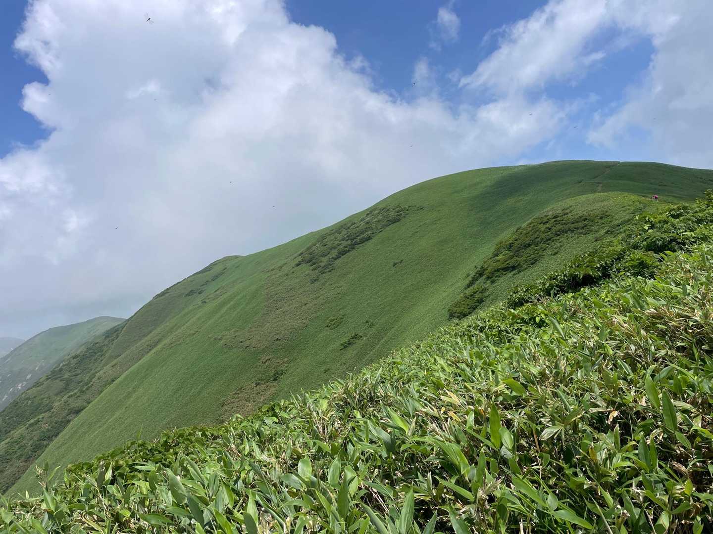 　　　　　美しい👍　丹後山に👋