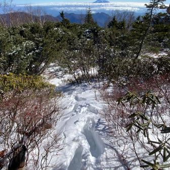 雪☃️の量はこんな感じ