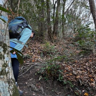 無事に見つかったのは白龍様のお陰かな🐉
しっかり御礼を言って帰りました🙇‍♂️🙇‍♀️