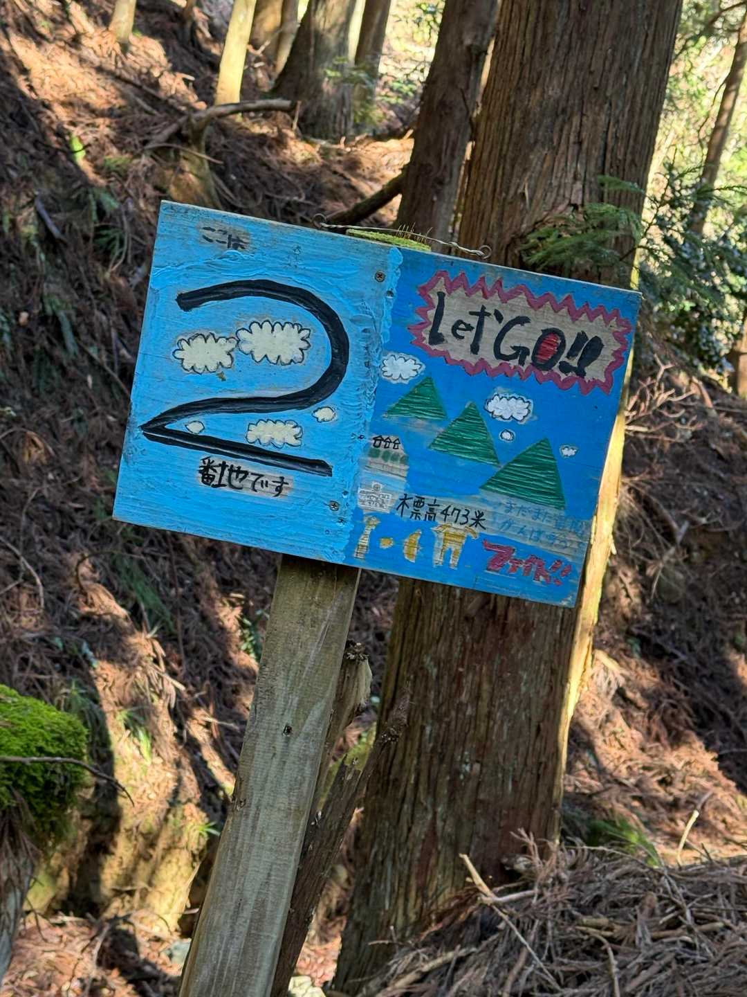 城山 往復コースの写真