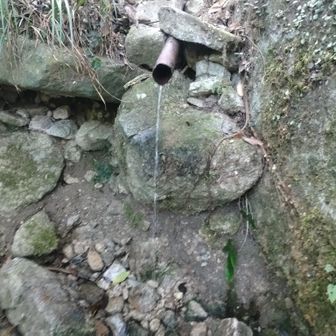 再び正面登山道へ💪

昨夜、熊本県の祖父の家から
車で帰宅していたとき
久留米から先が豪雨だったのですが、
この辺りはあまり降らなかったのか
水量少なめです💧