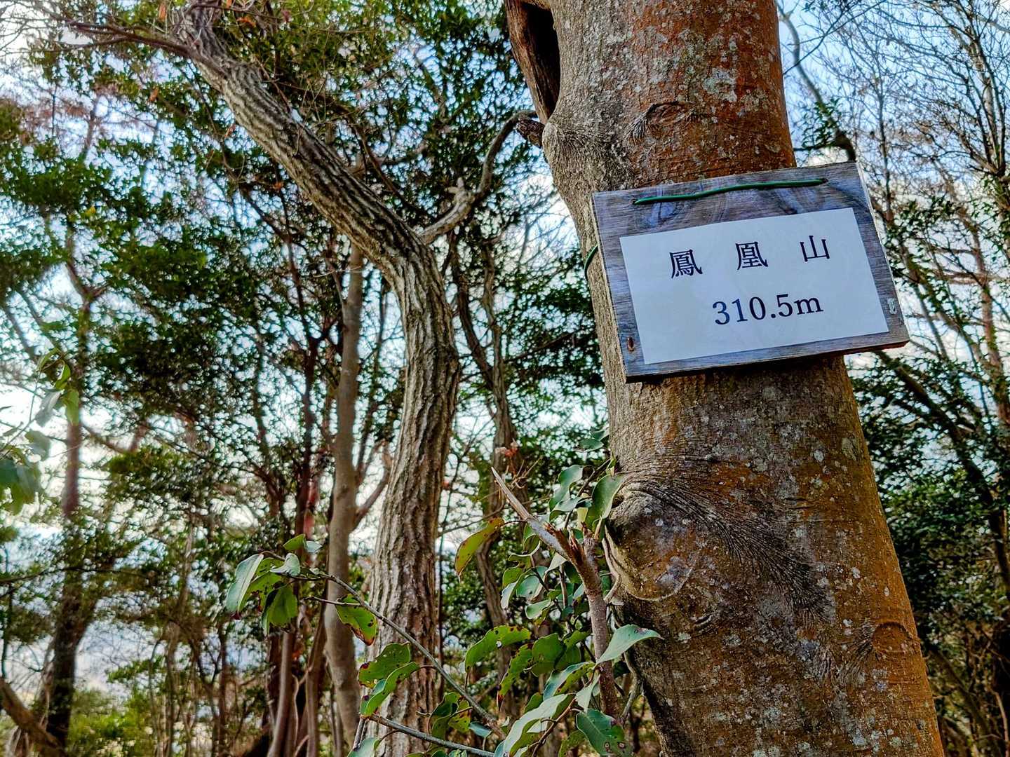 5座目鳳凰山