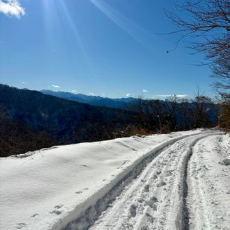 迷いなく下山

いいお天気なのに
眺望良さそうなのに

仕方ない