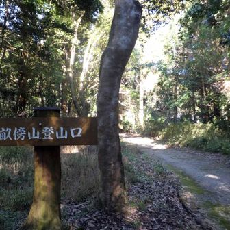 畝傍山にさあ登ろう。
野球団体も後ろから来る