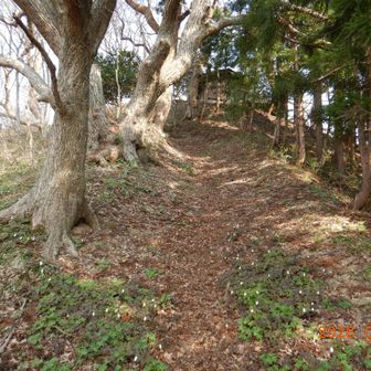 福川神社奥宮が見えた