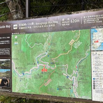 全員無事に完歩✌️
お世話してくださった方、ドライバーの方、同行の皆さんに感謝🙏