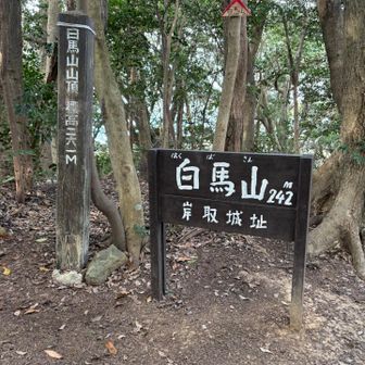 すぐに白馬山。ここは城址山ですね⛰️