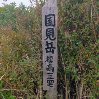 山頂だぜ